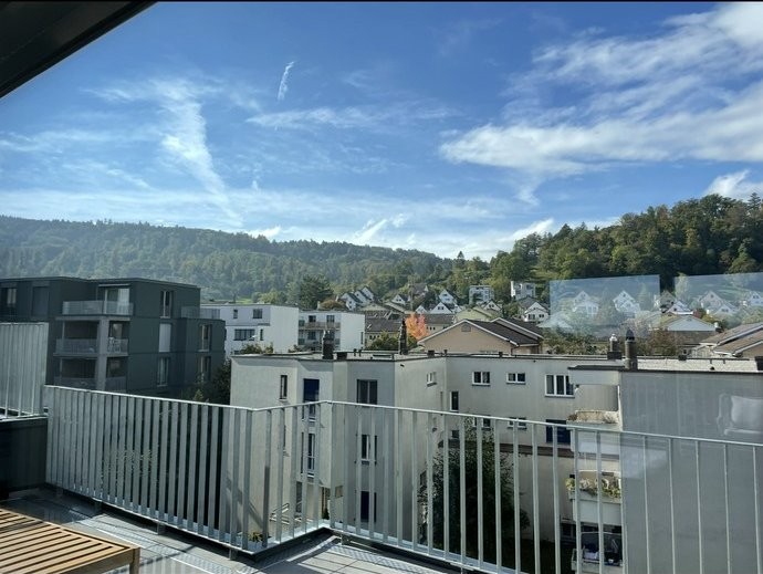 Bachwiesenstrasse 120, 8047 Zürich image 8