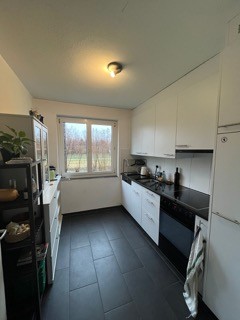 Ueberlandstrasse 345, 8051 Zürich image 6