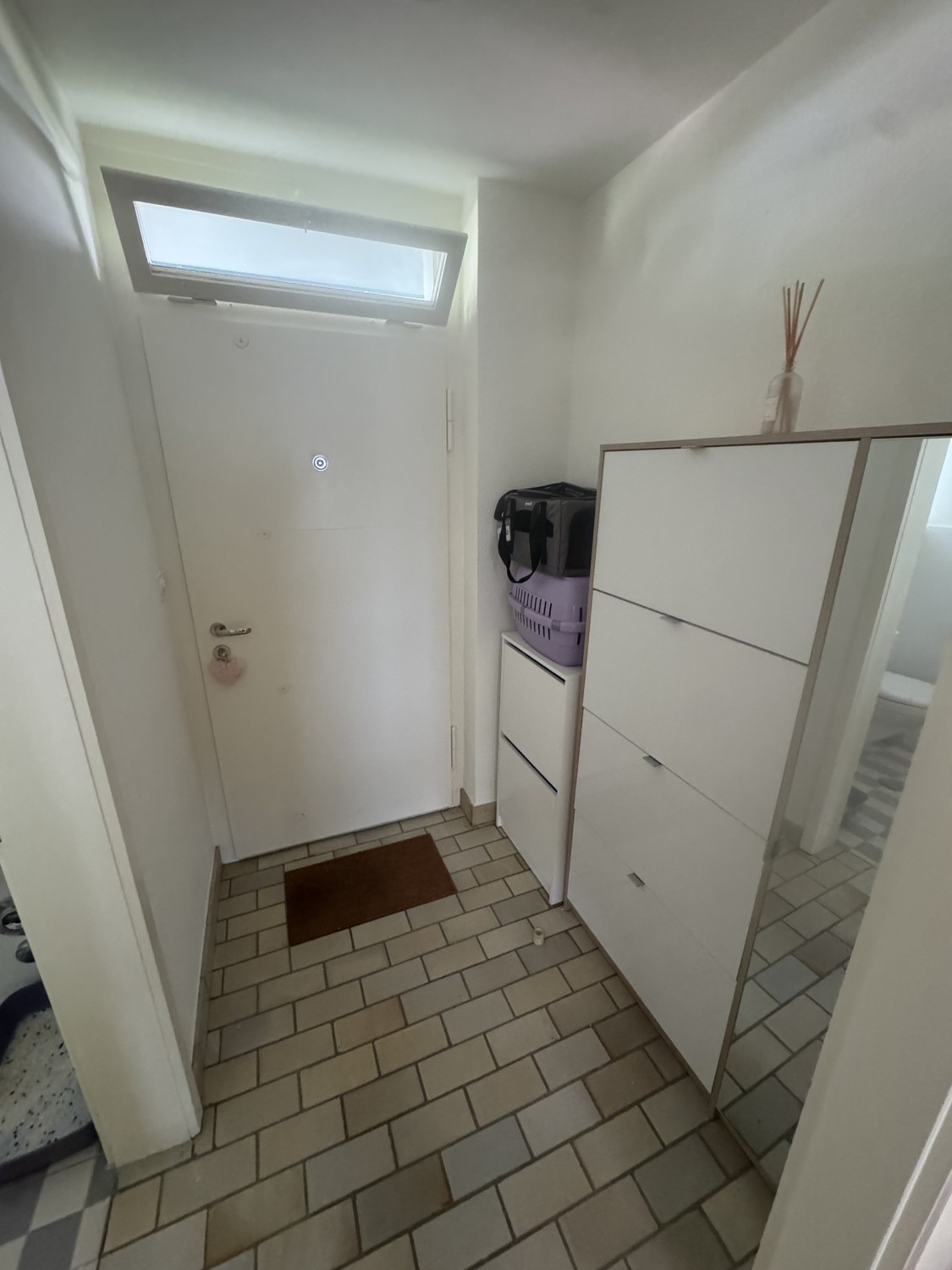 Buchzelgstrasse 15, 8053 Zurich image 8