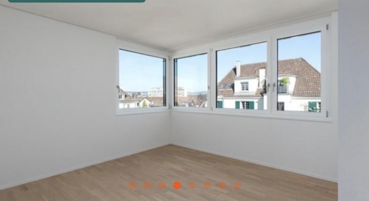 Letzigraben 171, 8047 Zürich image 4