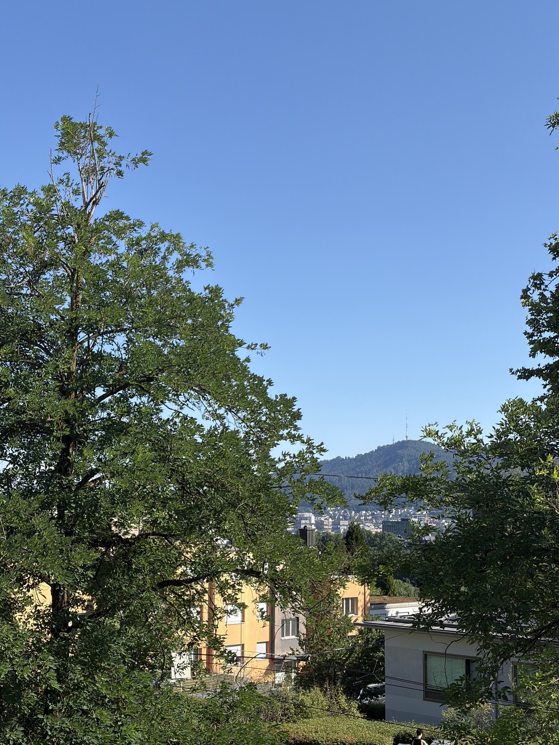 Limmattalstrasse 358, 8049 Zürich image 12