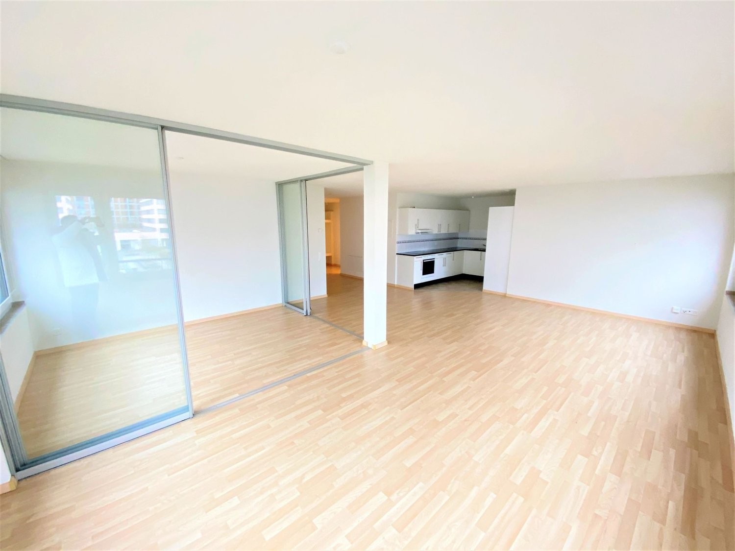 Arianestrasse 17, 8052 Zürich image 1