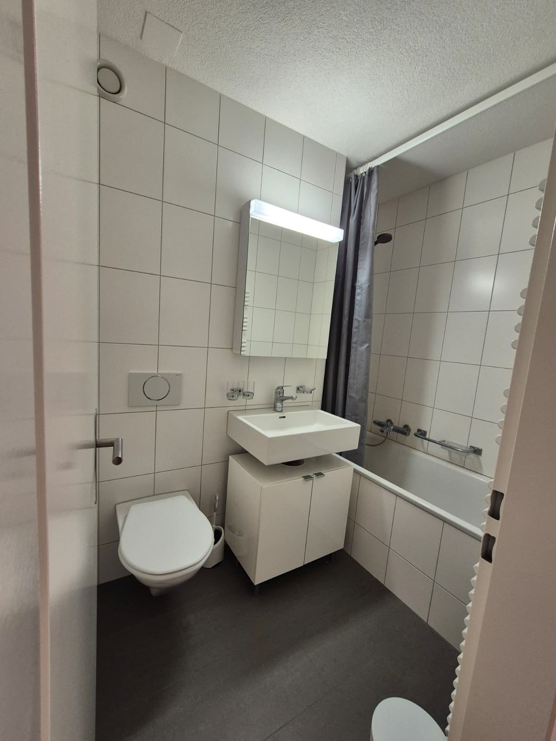 8004 Zurich image 4