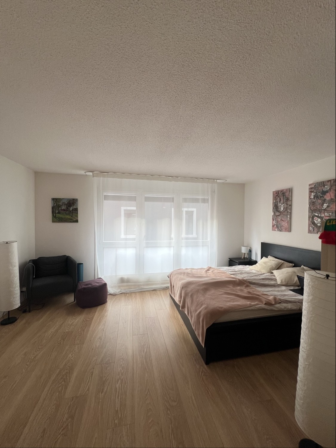 8004 Zurich image 8