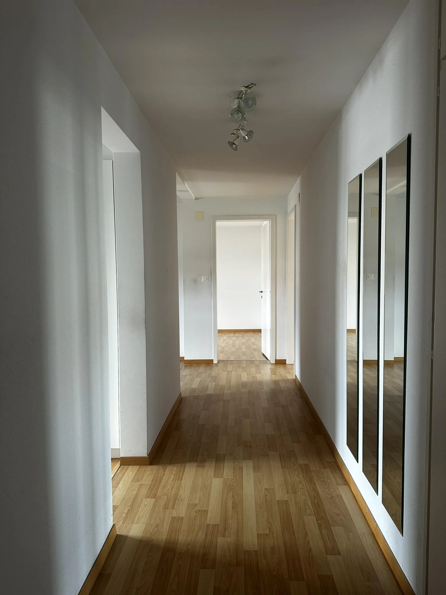 Herdernstrasse 12, 8004 Zürich image 3