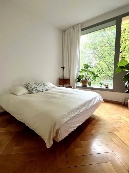 8032 Zurich image 7